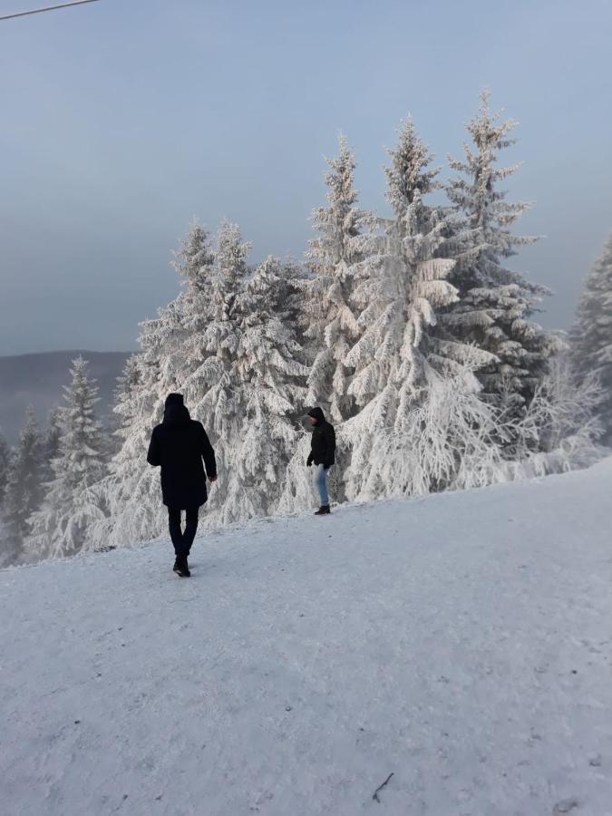 Winterberger Strasse Διαμέρισμα Εξωτερικό φωτογραφία